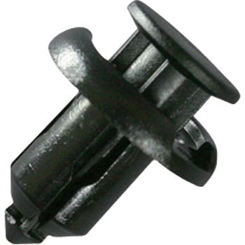 1925 vXeBxbg G[ 09935344