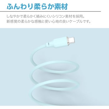 Mousseケーブル AtoC センチュリー