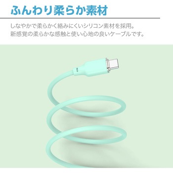 Mousseケーブル AtoC センチュリー