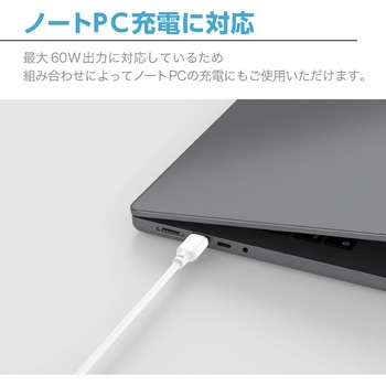 PD60W対応CtoCケーブル センチュリー