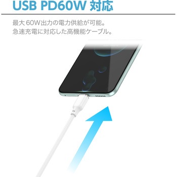 PD60W対応CtoCケーブル センチュリー