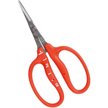 B 500s ステンレスぶどう手入れ鋏 1個 近正 通販サイトmonotaro