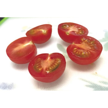 ガジェコン プチトマト一発スライサー パール金属