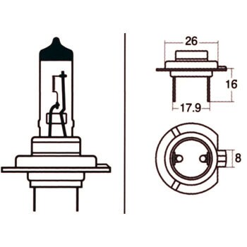 117 交換用バルブ ヘッドランプ用 1個 STANLEY(スタンレー電気) 【通販