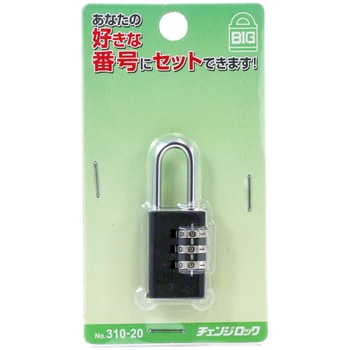 BIG NO．310 チェンジロック 清水
