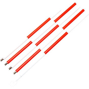 PS30 �����s���|�[�� STS 10313266