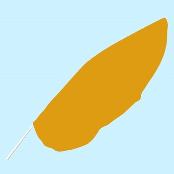 ウェーブフラッグのみ OTC