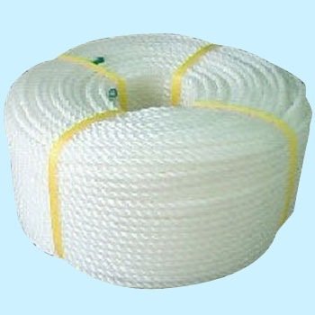 PE-67 �|���G�`�������[�v �努�� ���^�J���C�N 10786797