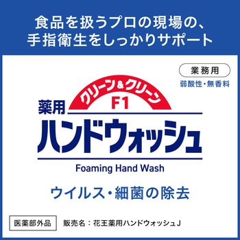 クリーン&クリーンF1薬用ハンドウォッシュ 花王