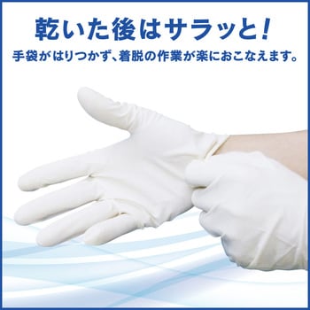 手指消毒剤 ハンドスキッシュEX 花王