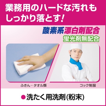 ビック 除菌プラス 花王