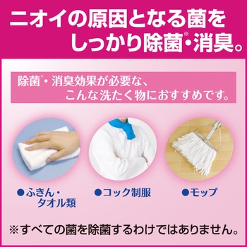 ビック 除菌プラス 花王