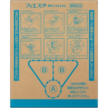 フィエスタ ボディウォッシュ 花王