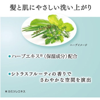 リズミィ ハーブボディウォッシュ 花王