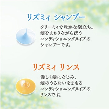 リズミィ ハーブボディウォッシュ 花王