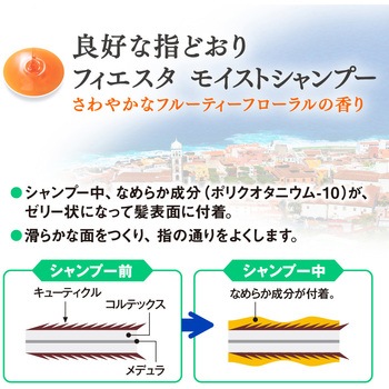 フィエスタ モイストリンス 花王