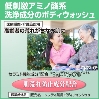 ソフティ 薬用ボディウォッシュ 花王