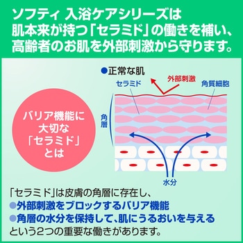 ソフティ 薬用ボディウォッシュ 花王