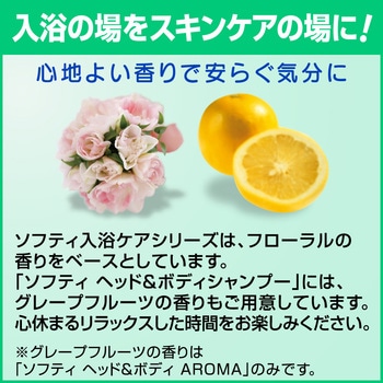 ソフティ 薬用ボディウォッシュ 花王