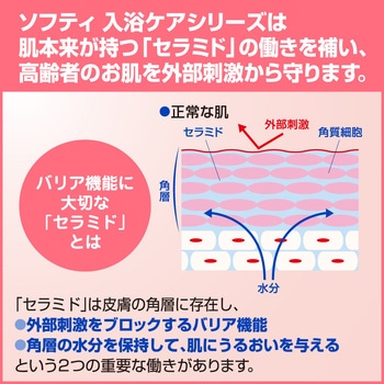 ソフティ ヘッド&ボディシャンプー 花王