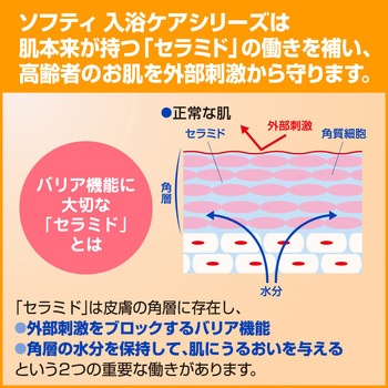 ソフティ リンスインシャンプー 花王
