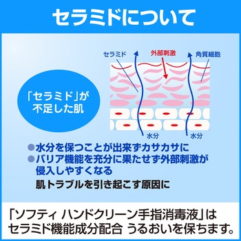 ソフティ ハンドクリーン 手指消毒液 花王