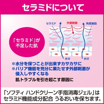 ソフティ ハンドクリーン 手指消毒ジェル 花王