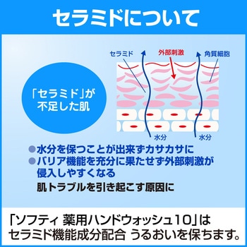 ソフティ 薬用ハンドウォッシュ10 花王