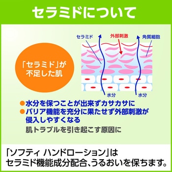 ソフティ ハンドローション 花王