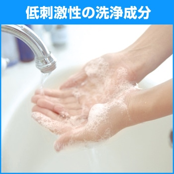 ソフティ 薬用ハンドウォッシュ10 花王