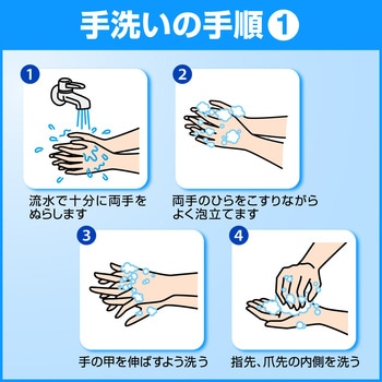 ソフティ 薬用ハンドウォッシュ10 花王