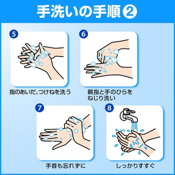 ソフティ 薬用ハンドウォッシュ10 花王