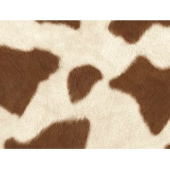 REN-11 牛皮 リノベシート 明和グラビア 10929276