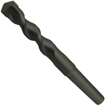 - �e�[�p�[���r�b�g TP�^�C�v�E�V���[�g No.1 ���j�J 10960512