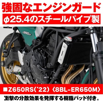 パイプエンジンガード 31910 DAYTONA(デイトナ)