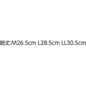 800499婦人安心快適ショーツ 愛情介護