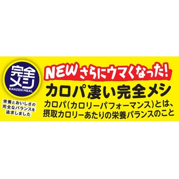 完全メシ カレーメシ 欧風カレー 日清食品