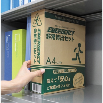 非常持出セット BTシリーズ エピオス