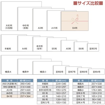 のし紙 祝 五本 花結 B4判 (京) ササガワ