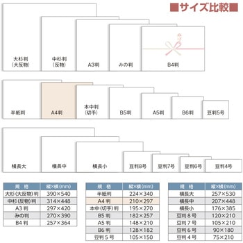 のし紙 祝 五本 花結 A4判 (京) ササガワ