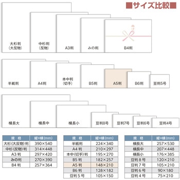 のし紙 祝 五本 花結 A5判 (京) ササガワ