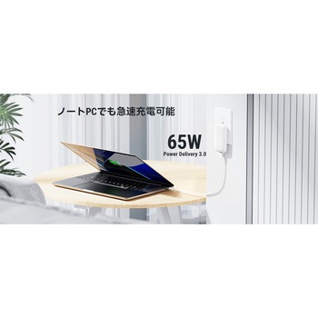 レボ 65エボ USB充電器 VOLTME