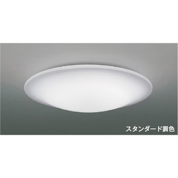 シーリング コイズミ