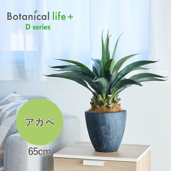 光触媒インテリアグリーン 観葉植物 エスエスケイ