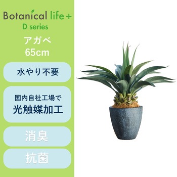 光触媒インテリアグリーン 観葉植物 エスエスケイ