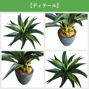 光触媒インテリアグリーン 観葉植物 エスエスケイ
