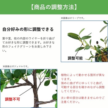光触媒インテリアグリーン 観葉植物 エスエスケイ