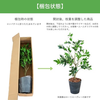 光触媒インテリアグリーン 観葉植物 エスエスケイ
