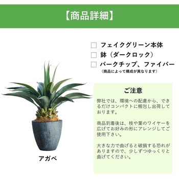 光触媒インテリアグリーン 観葉植物 エスエスケイ