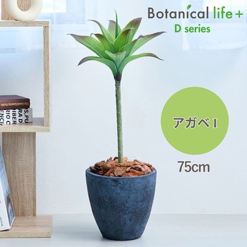 光触媒インテリアグリーン 観葉植物 エスエスケイ